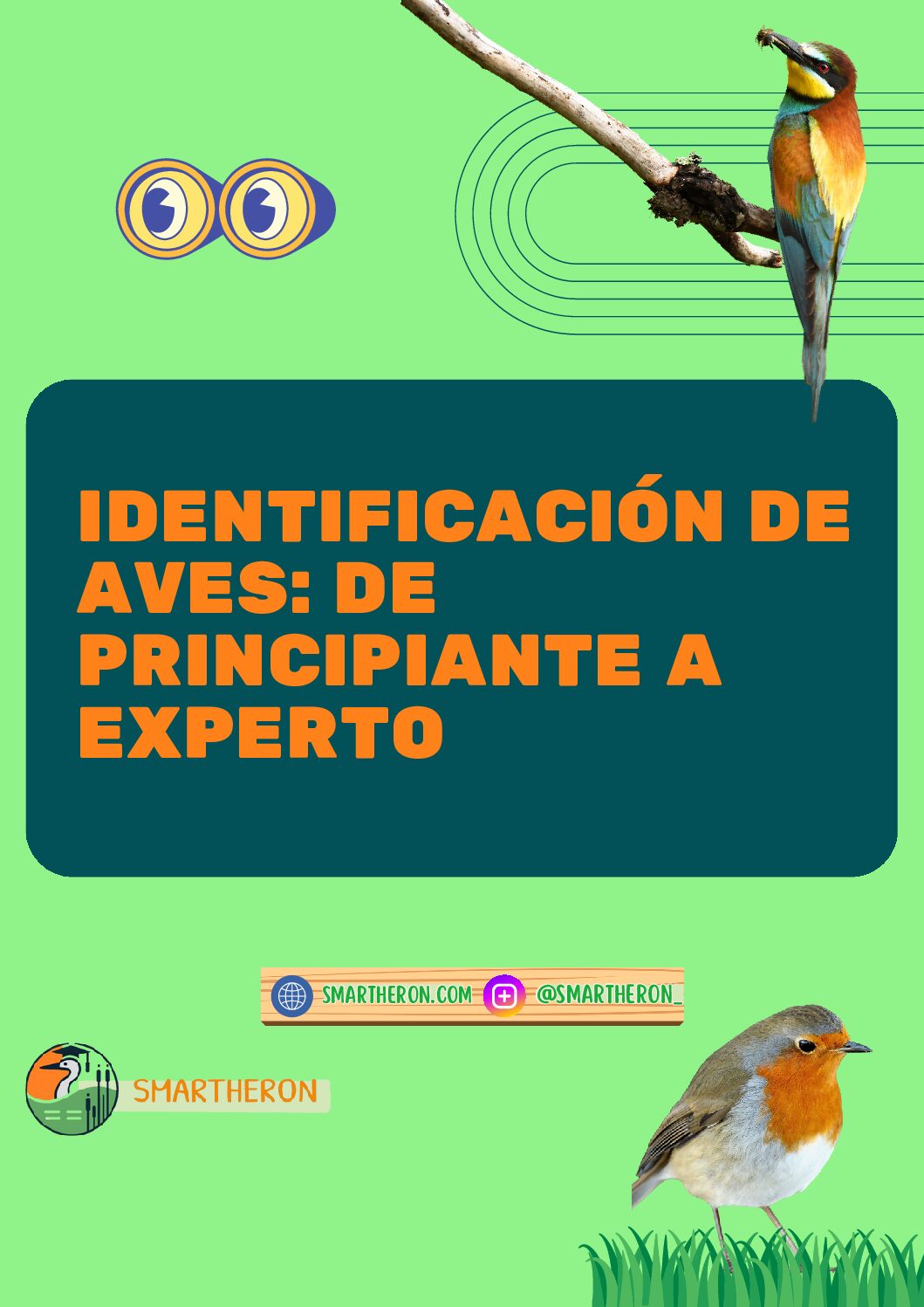Curso Online - Identificación de aves: de principiante a experto
