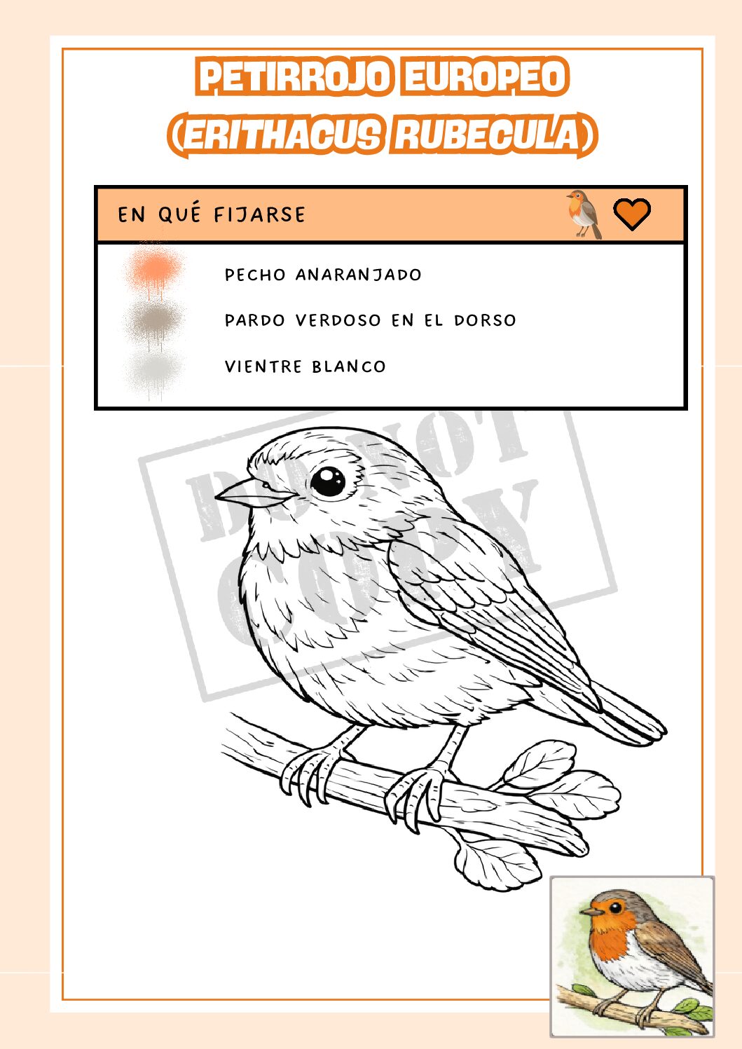Pack de 6 - aves de España para colorear - Imagen 6