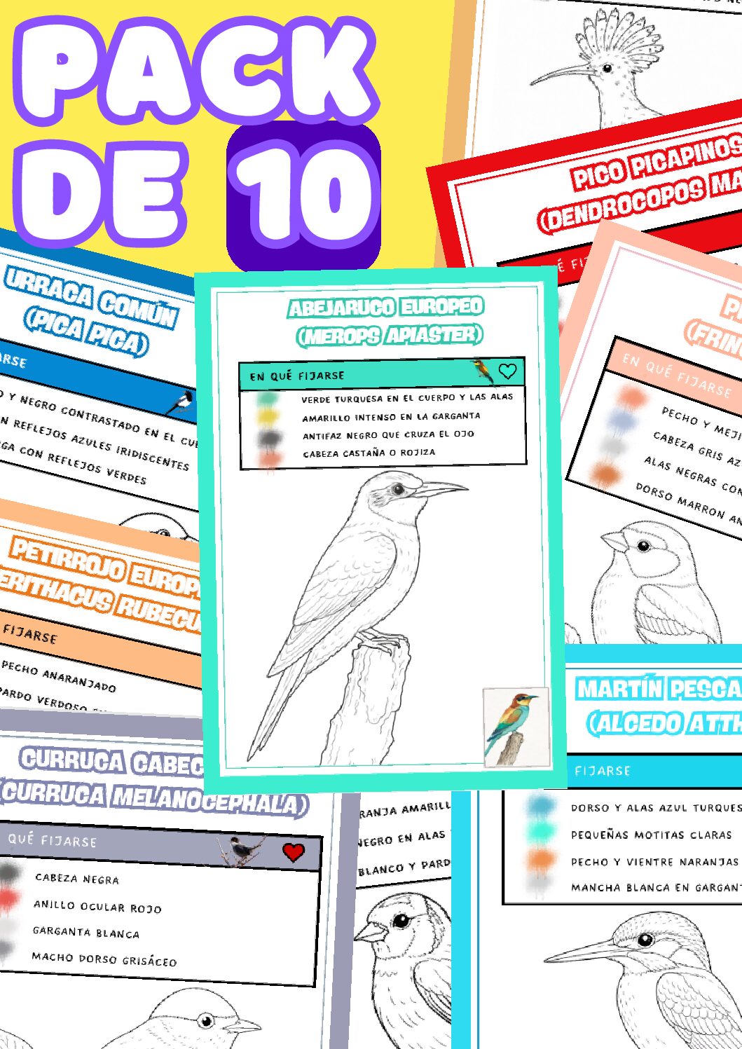 Pack de 10 - aves de España para colorear